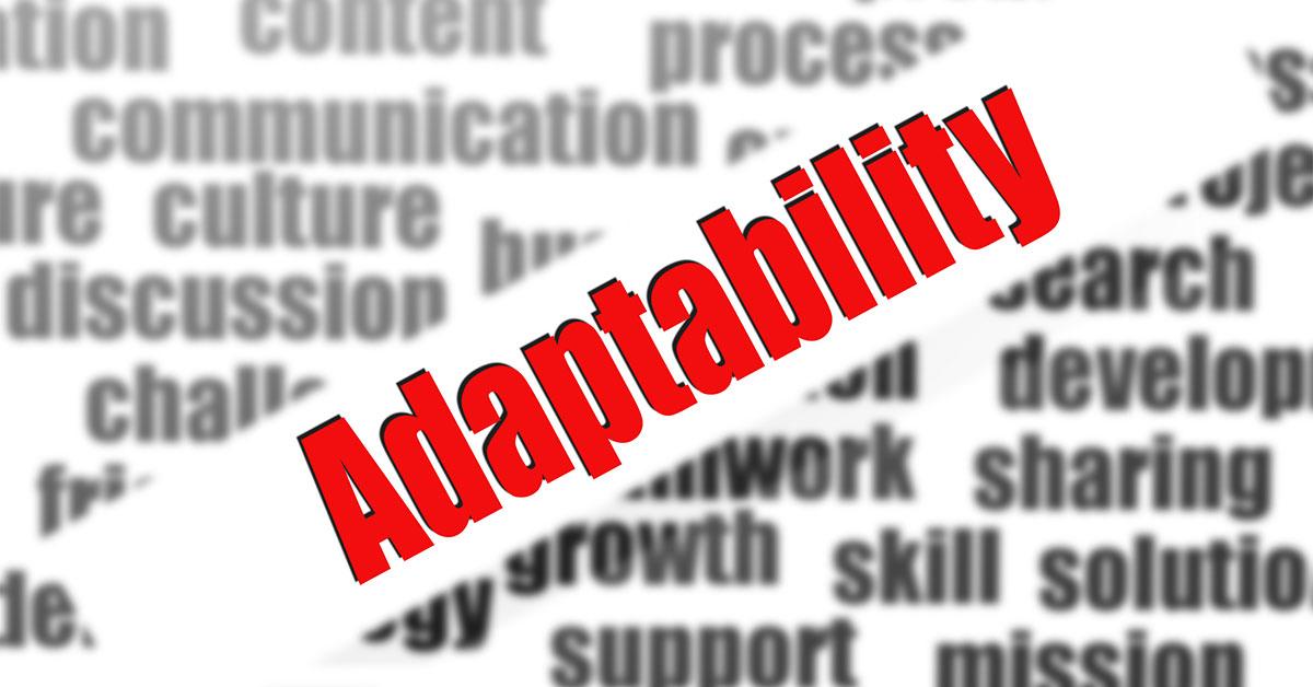 11900 02879 adaptability web