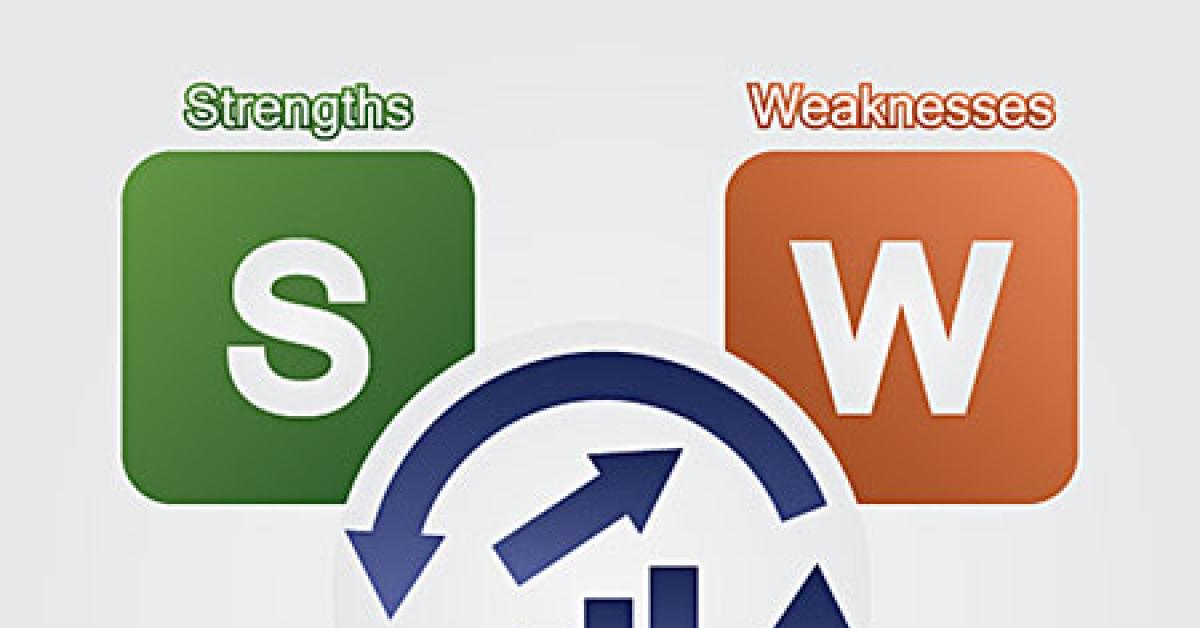 5089 00399 swot web
