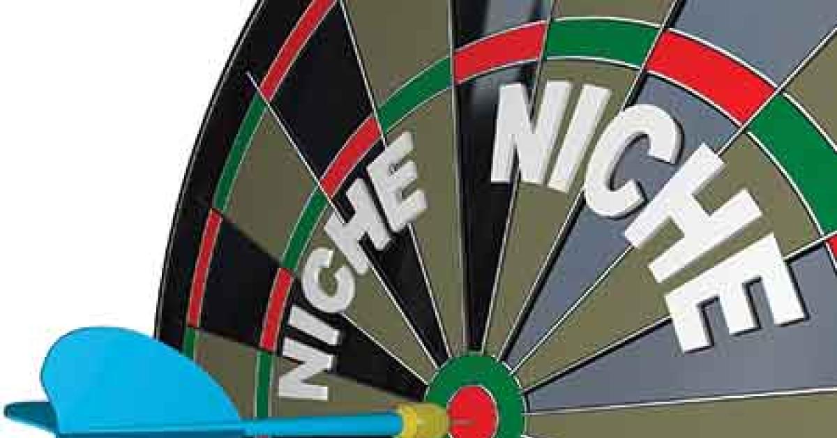 6978 00582 niche target 1 web