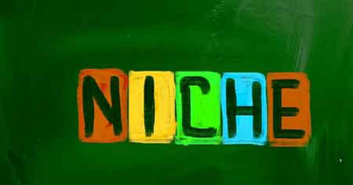 8288 07080 niche web