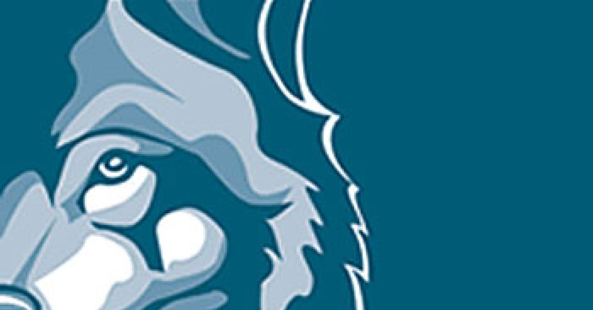 bluewolf logo
