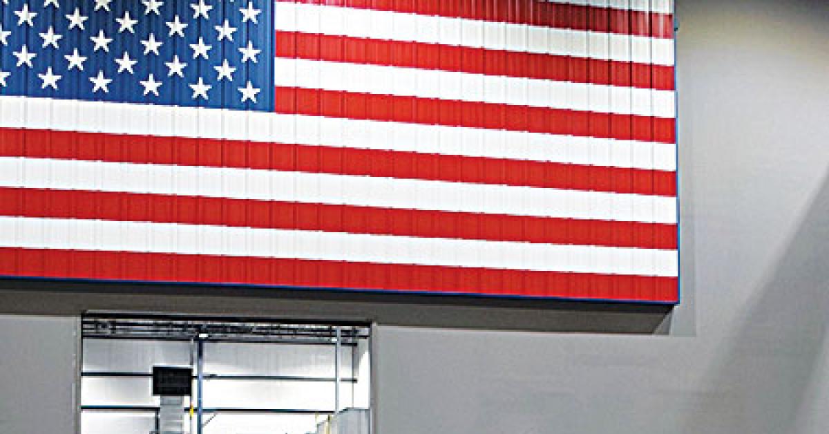 braun flag web