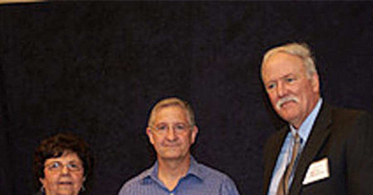 braun p tech award web