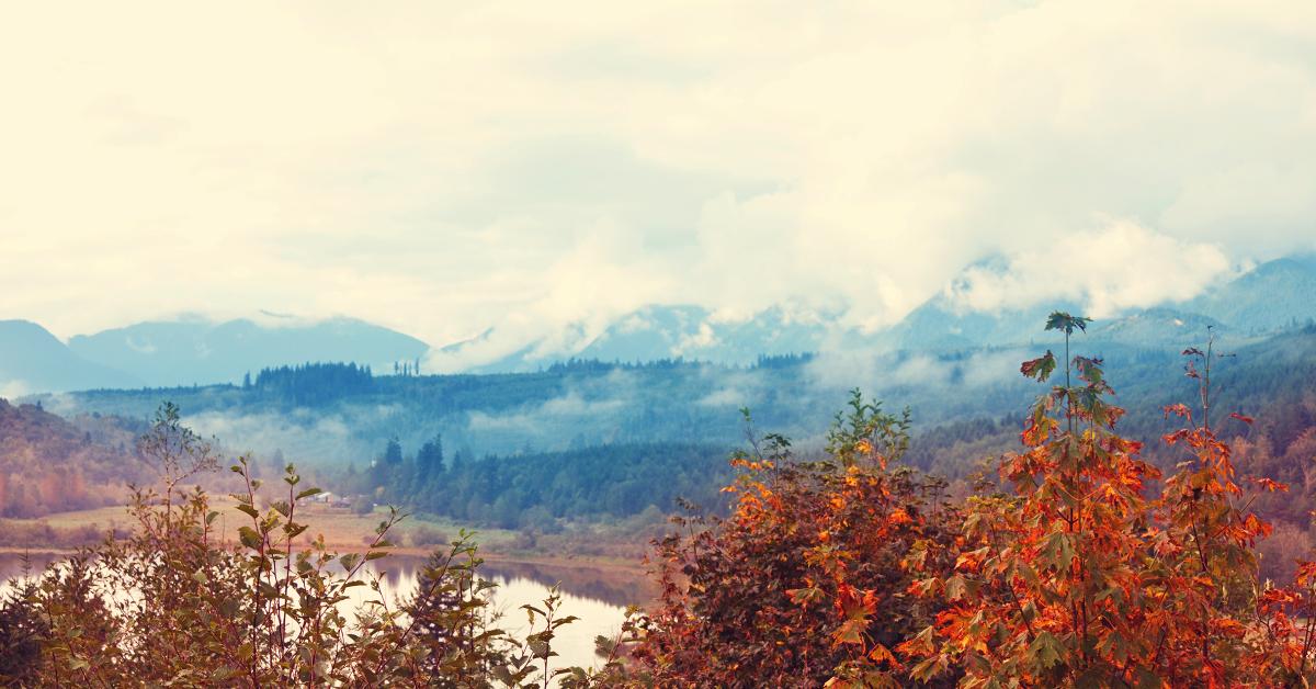 Changing Seasons, Changing Business