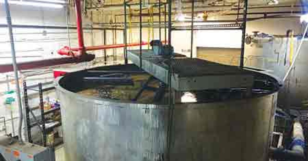 daf web