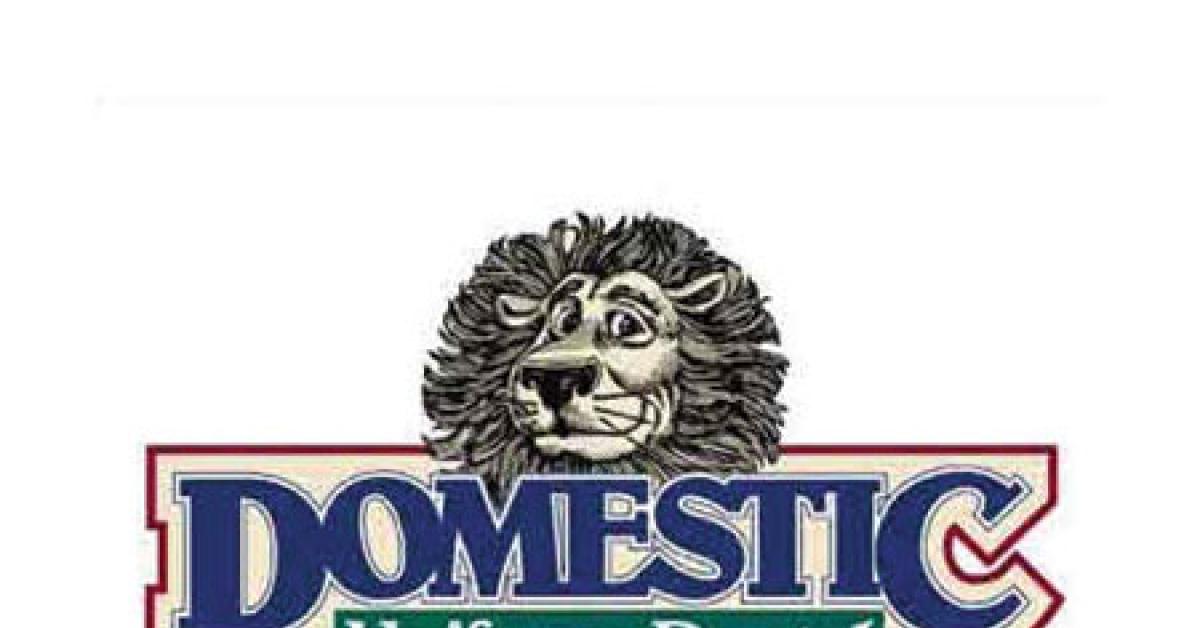 domesticuniform web
