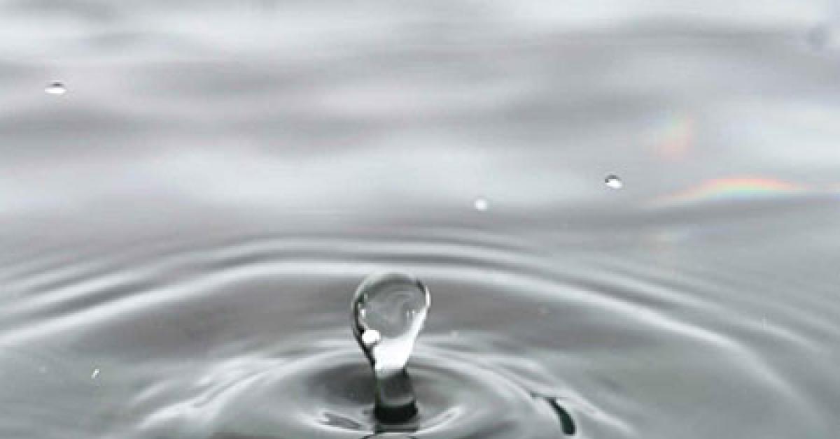 drop web