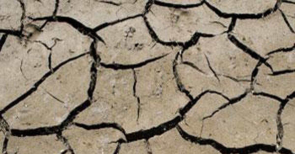 Drought image