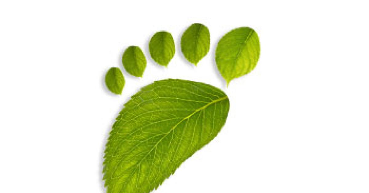 footprint with leaves
