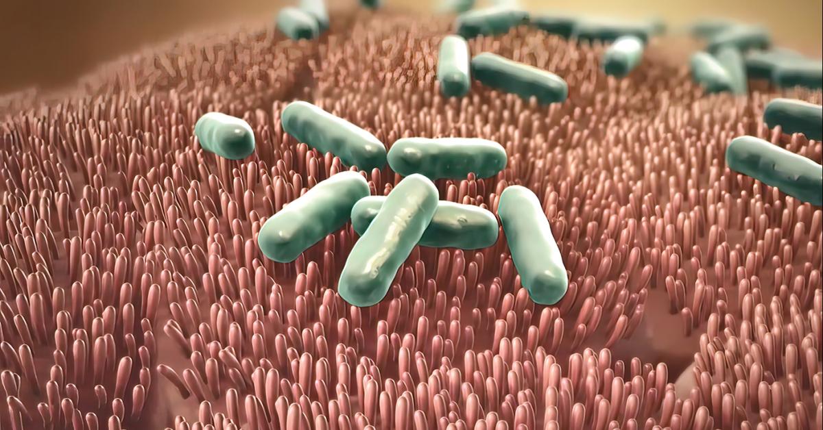 Top 10 Hidden Infection Prevention Dangers and How to Fix Them