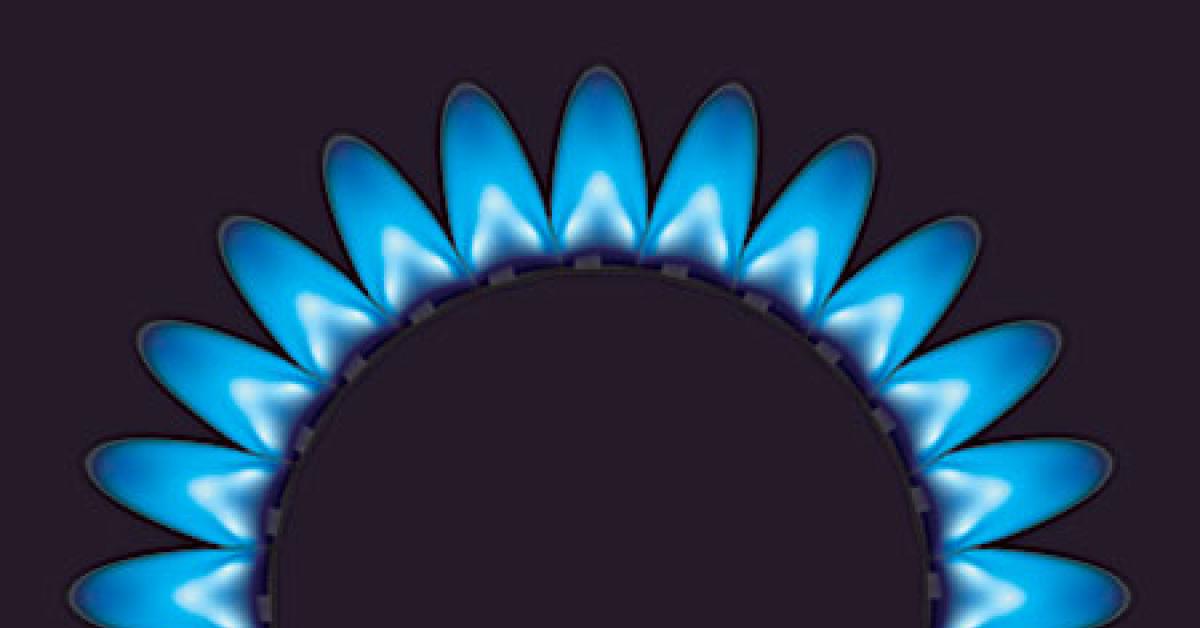 iss 2463 01373 burner flame web