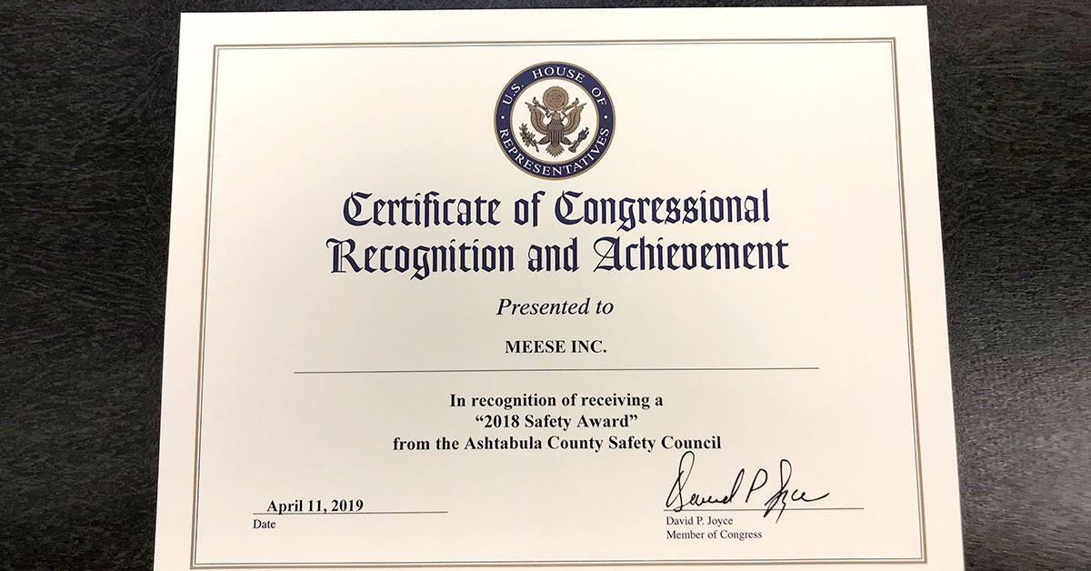 meese safety award web
