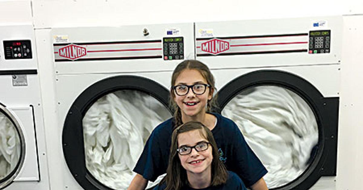 simply clean dryers web