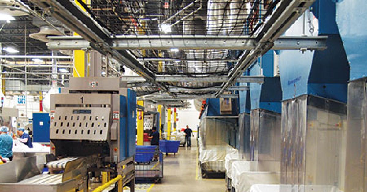 uhs plant interior p2176299 web