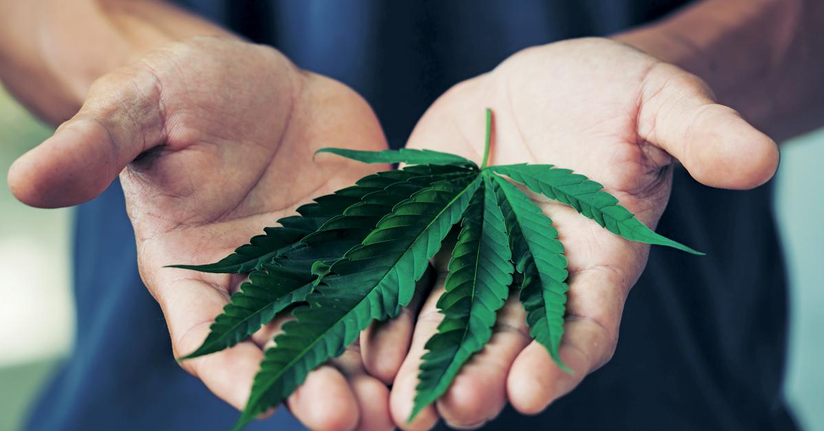 weed in workplace