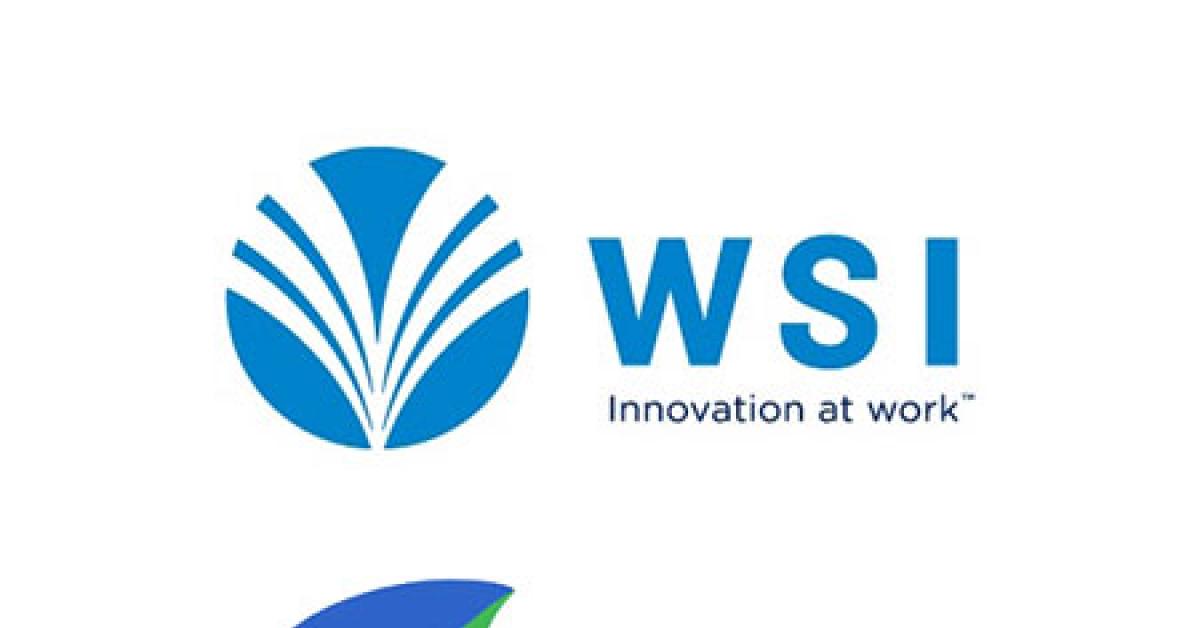 wsi environmental logos merge web
