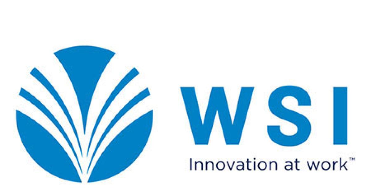 wsi kao logos merge web