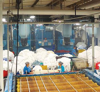 Spin Linen plant overview image