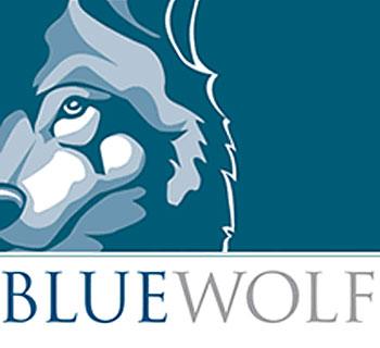 bluewolf logo