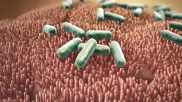 Top 10 Hidden Infection Prevention Dangers and How to Fix Them