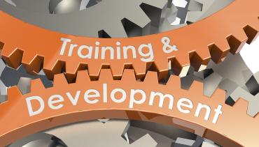 Creating Effective Training and Development Plans