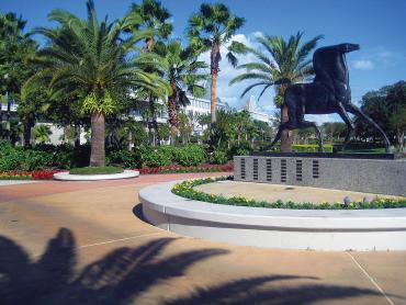 The Clean Show — Travel Guide to Orlando